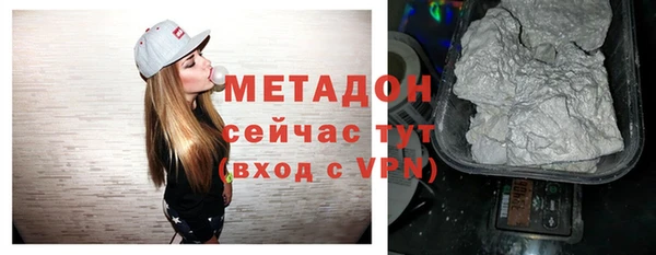 прущие грибы Белокуриха