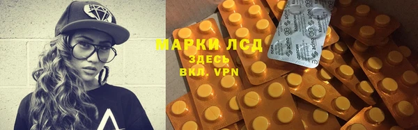 прущие грибы Белокуриха