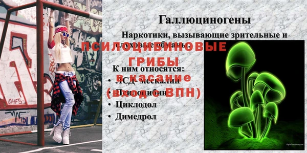 прущие грибы Белокуриха