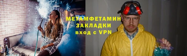 прущие грибы Белокуриха