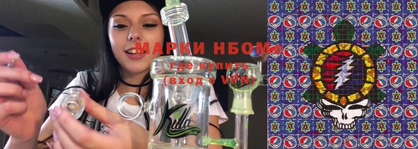 прущие грибы Белокуриха