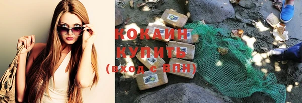 прущие грибы Белокуриха