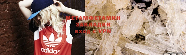 прущие грибы Белокуриха